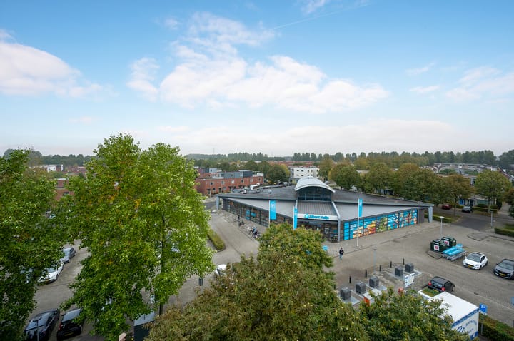 Foto 16 van Salsastraat 119