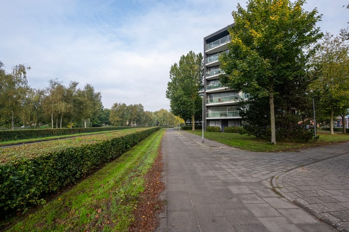 Foto 25 van Salsastraat 119