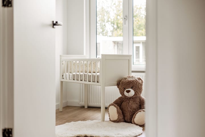 Foto 43 van Graaf Willemlaan 62