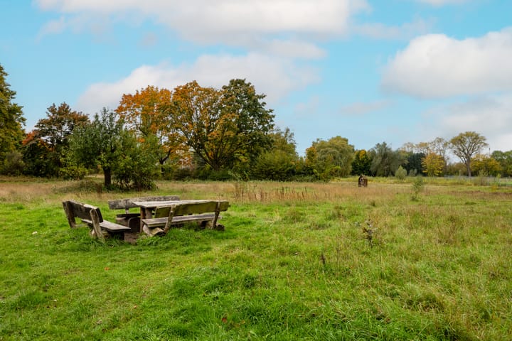 Foto 62 van Hamstraat 3