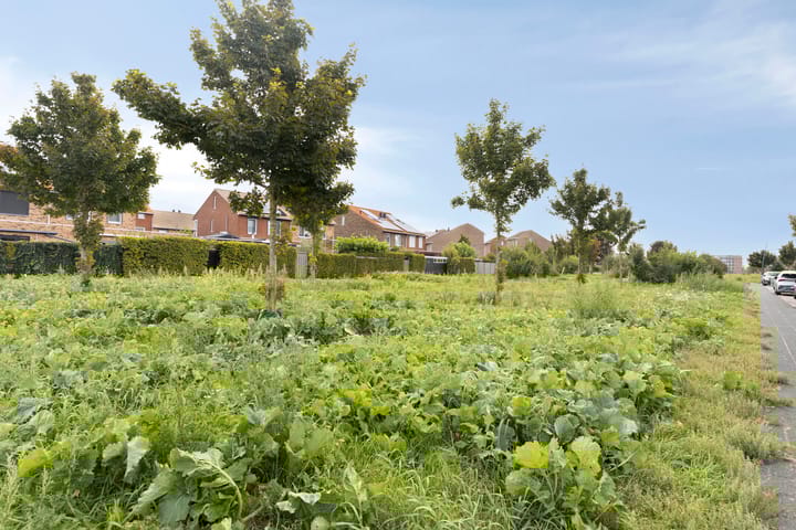 Foto 29 van Witte Ring 121-A