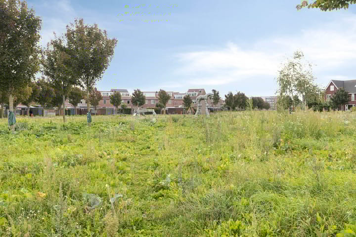 Foto 31 van Witte Ring 121-A