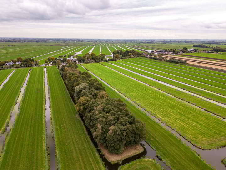 Photo 39 of Koolwijkseweg 8