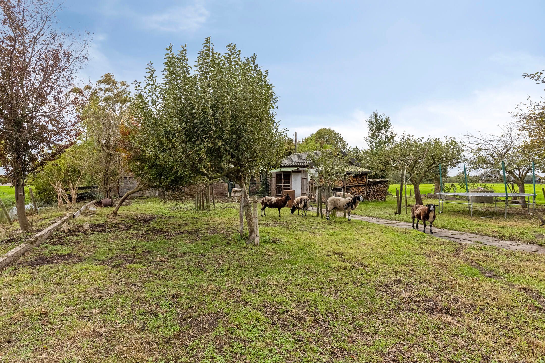 Foto 33 van Koolwijkseweg 8