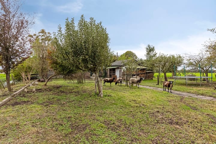 Photo 33 of Koolwijkseweg 8