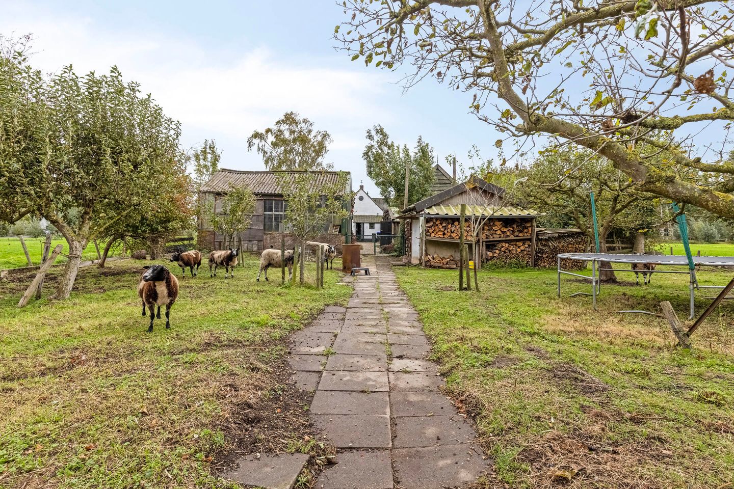 Foto 35 van Koolwijkseweg 8