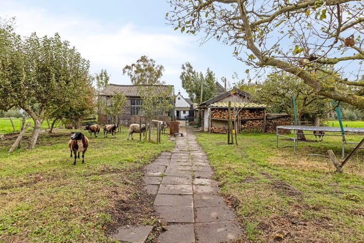 Photo 35 of Koolwijkseweg 8