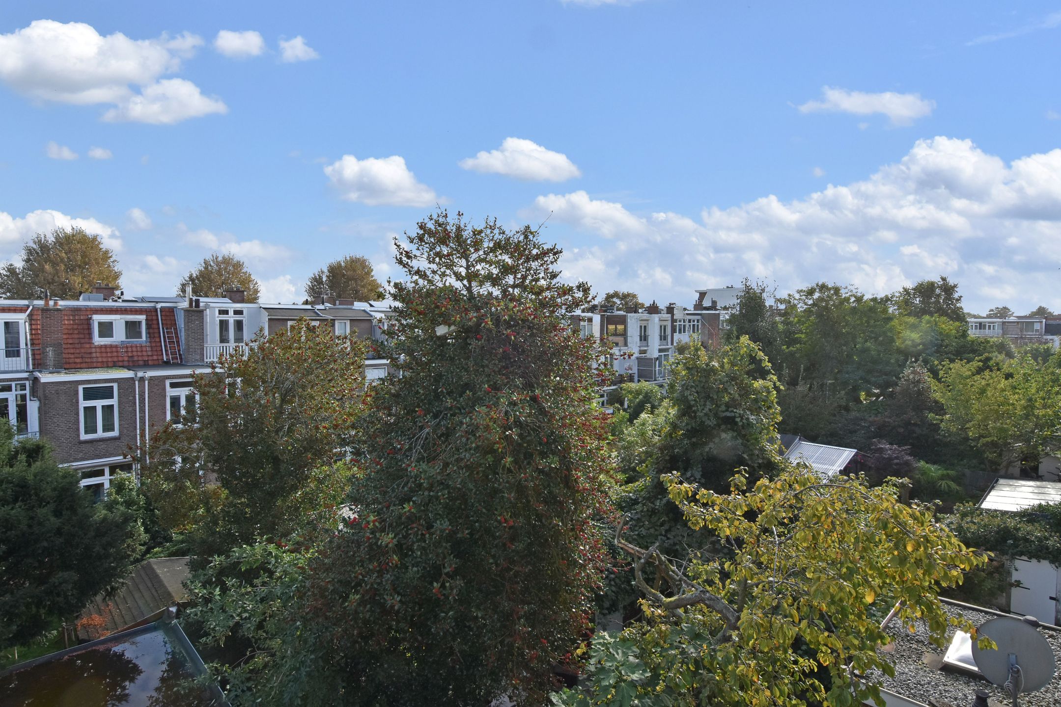 Foto 27 van Goudenregenstraat 167