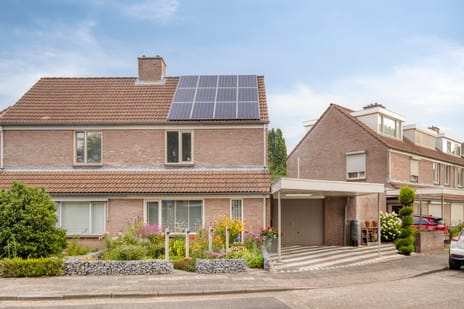 Grasklokje thumbnail