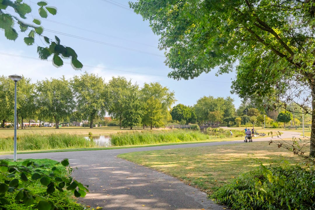 Foto 41 van Grasklokje 102