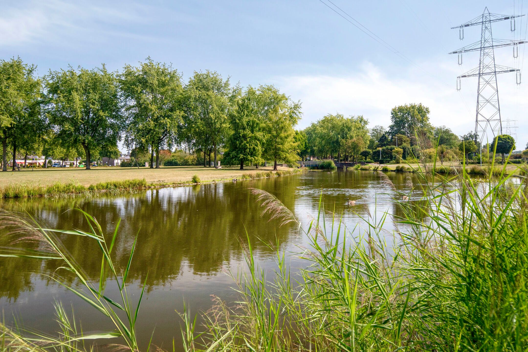 Foto 42 van Grasklokje 102