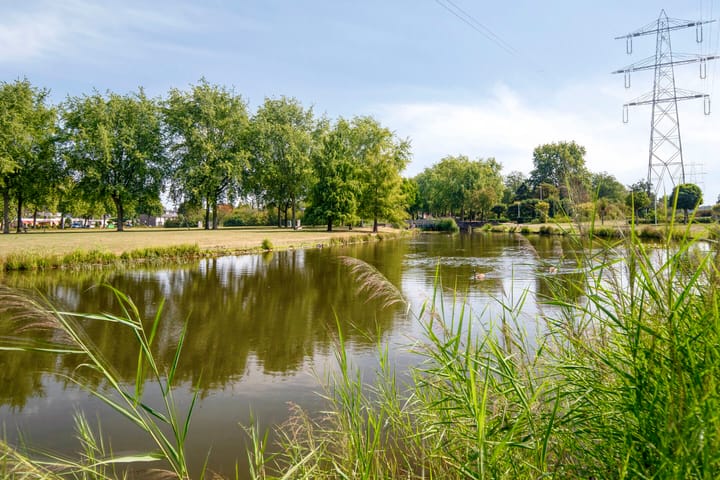 Photo 42 of Grasklokje 102