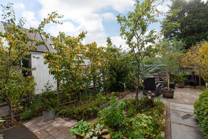 Foto 40 van Kattenwiel 1