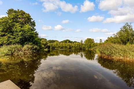 Rukven 2-a secondary image