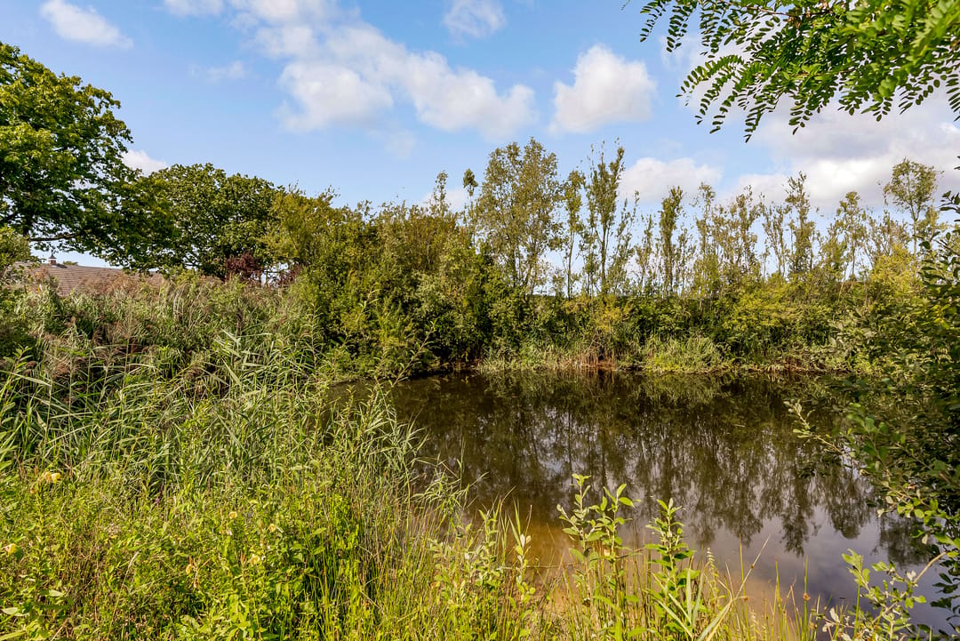 Photo 76 of Rukven 2-A