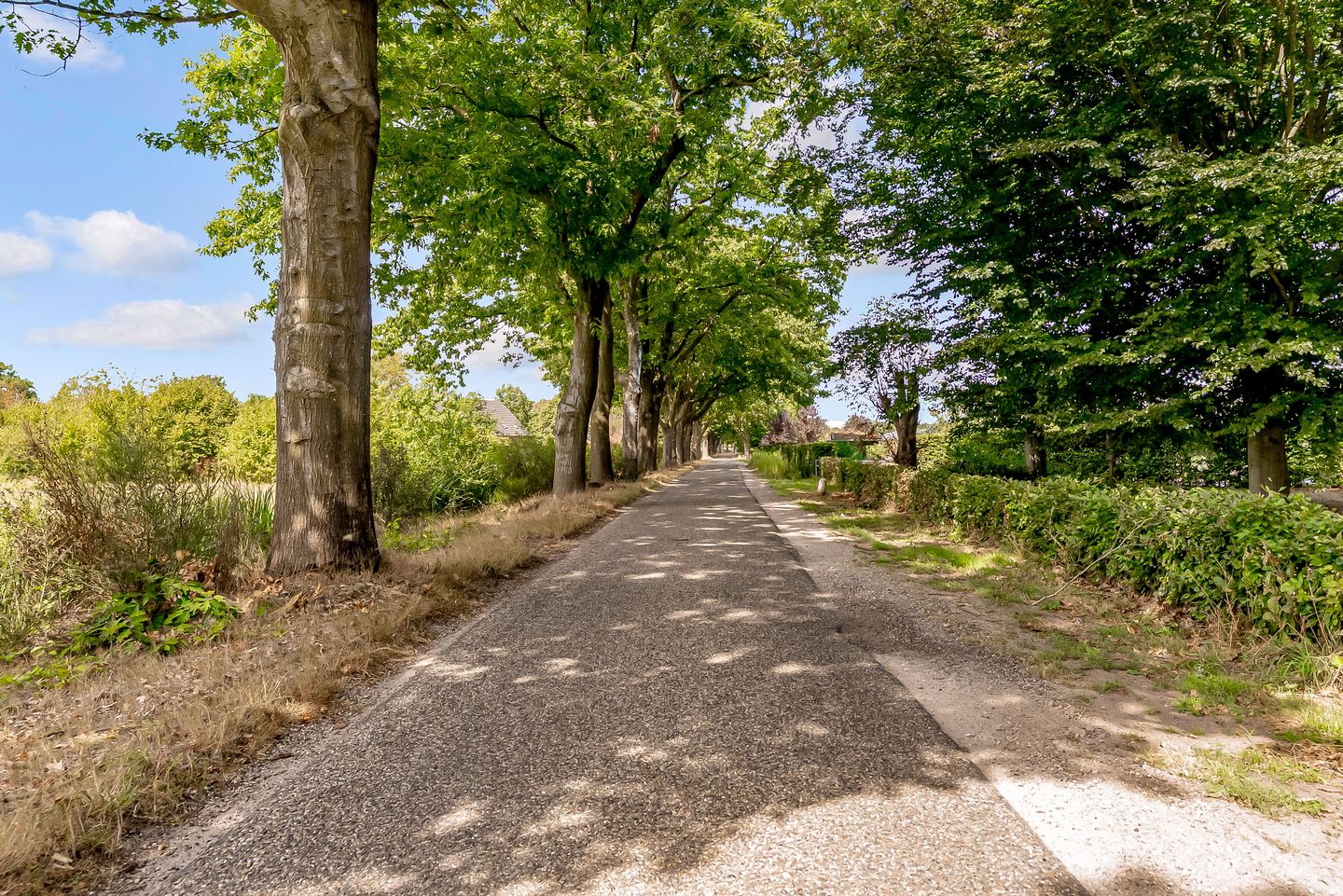 Photo 79 of Rukven 2-A