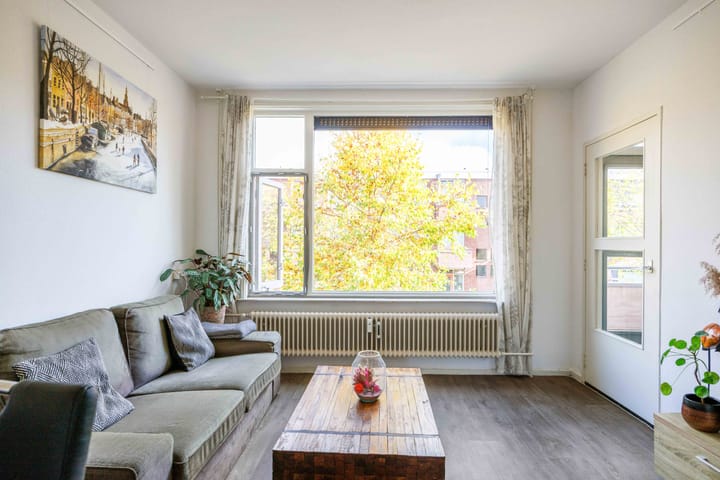 Frans van Mierisstraat 32 main image