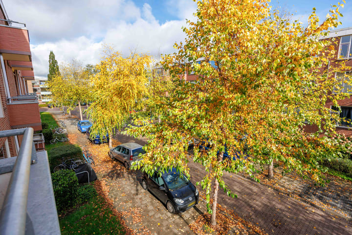 Foto 16 van Frans van Mierisstraat 32