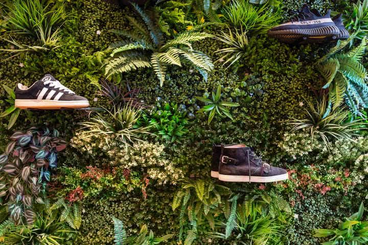 Foto 45 van Doggevaart 148