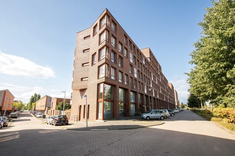 undefined main image