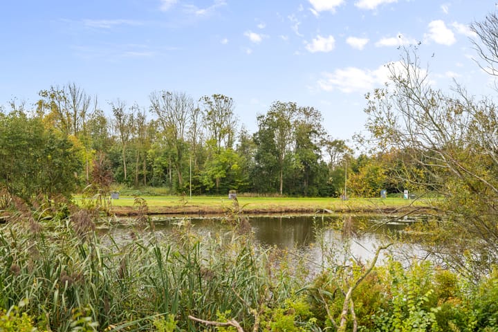 Foto 40 van Notenhout 4