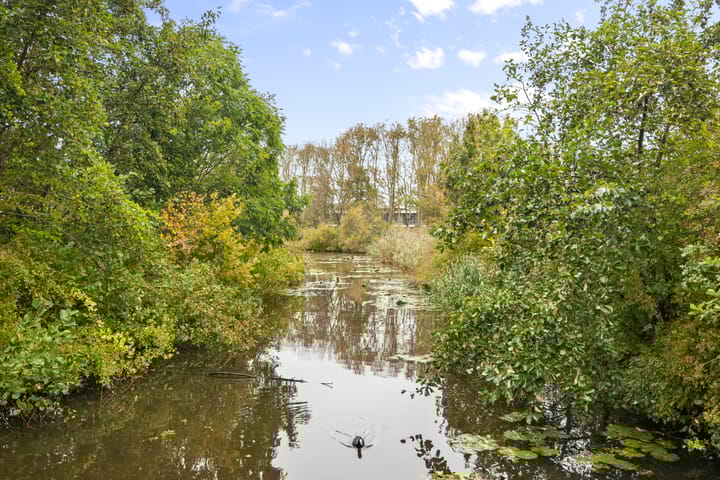 Foto 42 van Notenhout 4