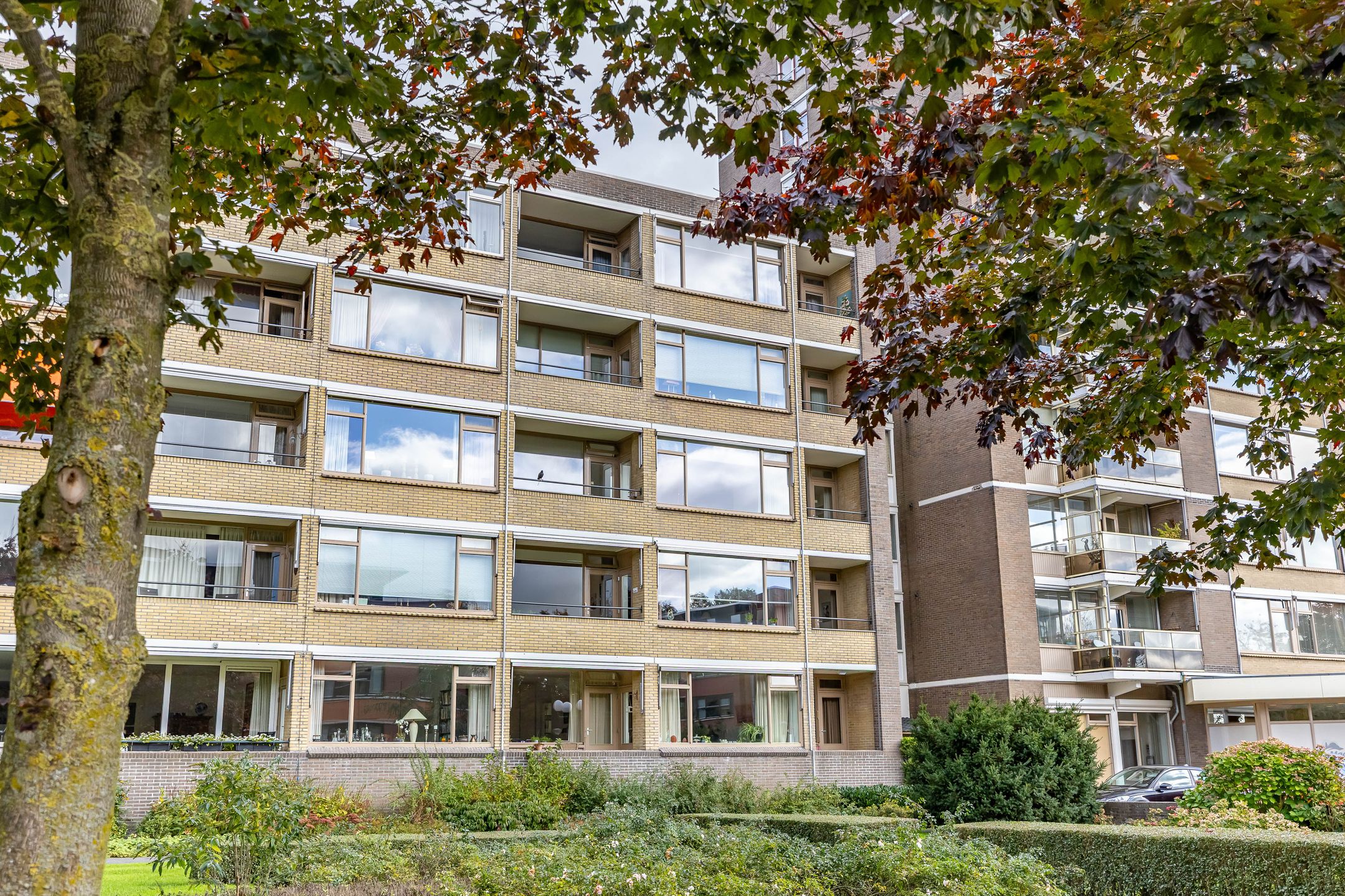 Foto 3 van Nesciolaan 83