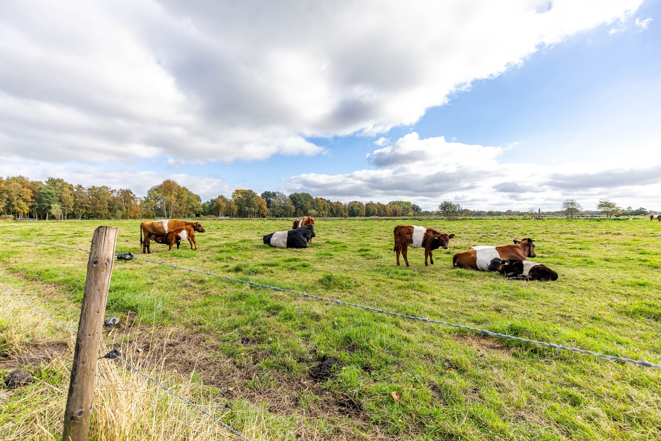 Foto 48 van Nesciolaan 83