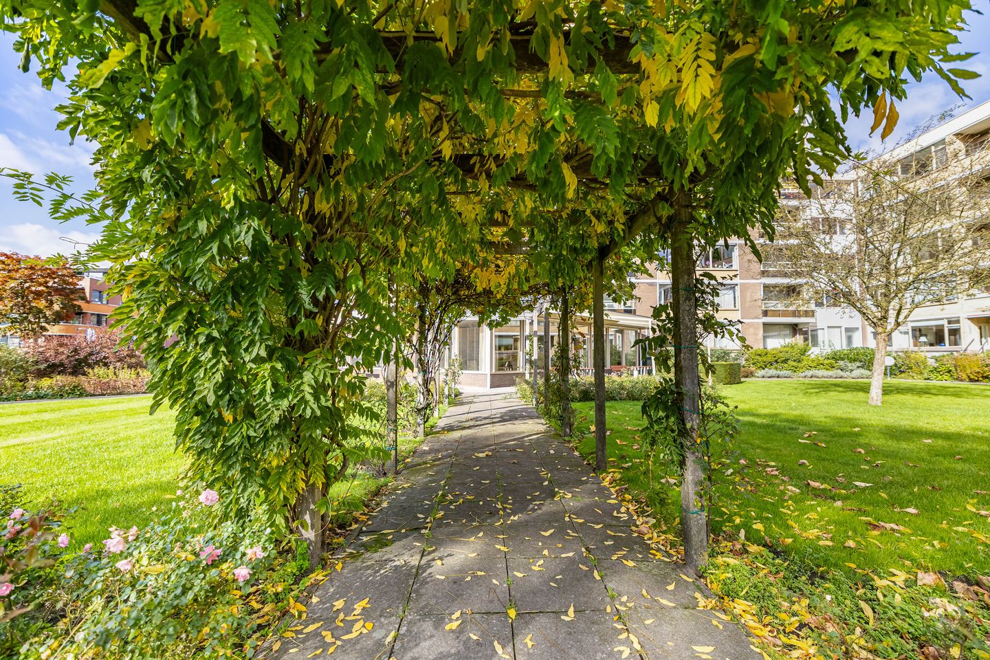 Foto 50 van Nesciolaan 83