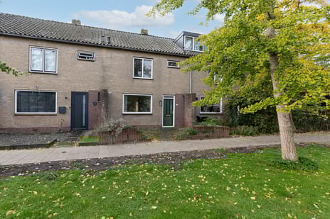 undefined main image