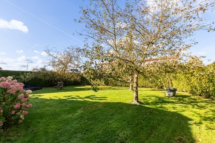 Foto 2 van Buntwal 1