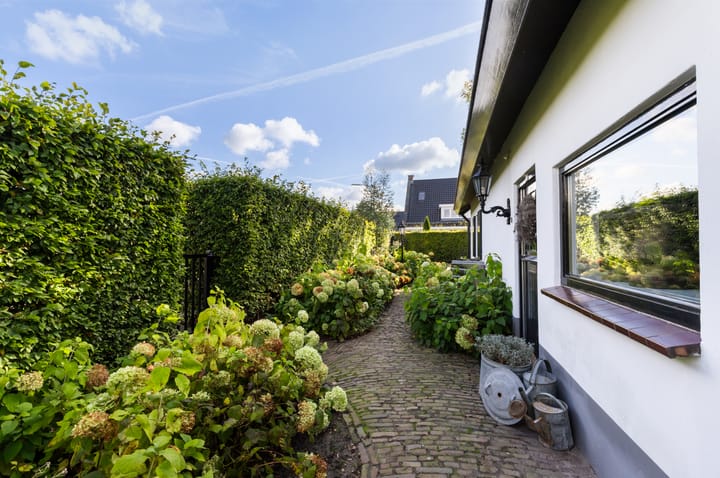 Foto 28 van Buntwal 1