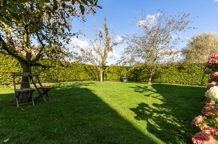 Foto 31 van Buntwal 1