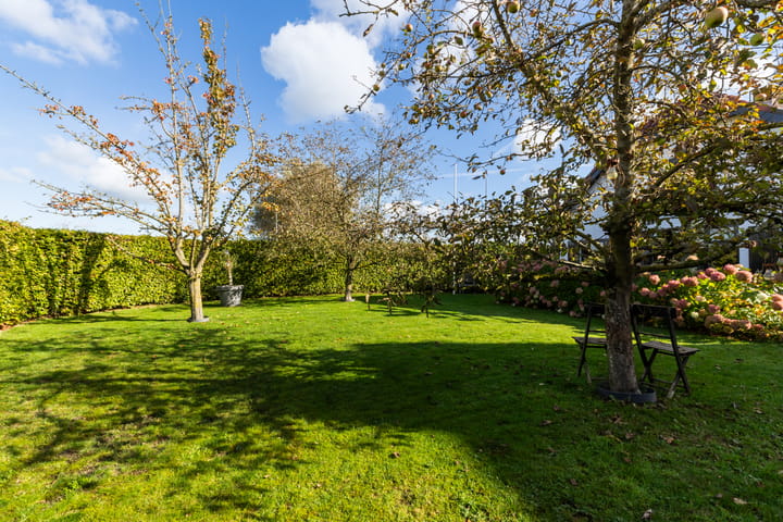 Foto 32 van Buntwal 1