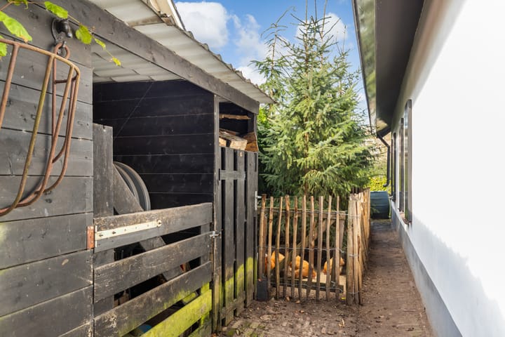 Foto 35 van Buntwal 1