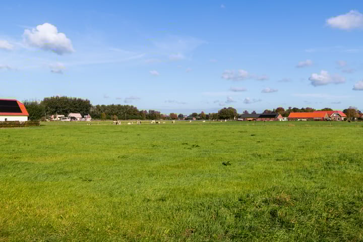 Foto 36 van Buntwal 1