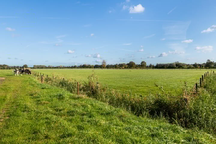 Foto 37 van Buntwal 1