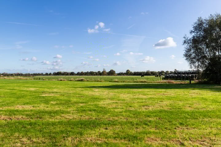 Foto 38 van Buntwal 1