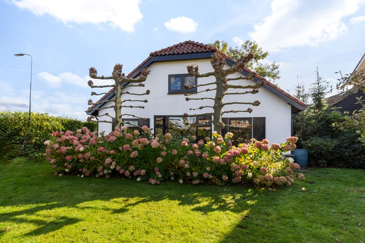 Foto 41 van Buntwal 1