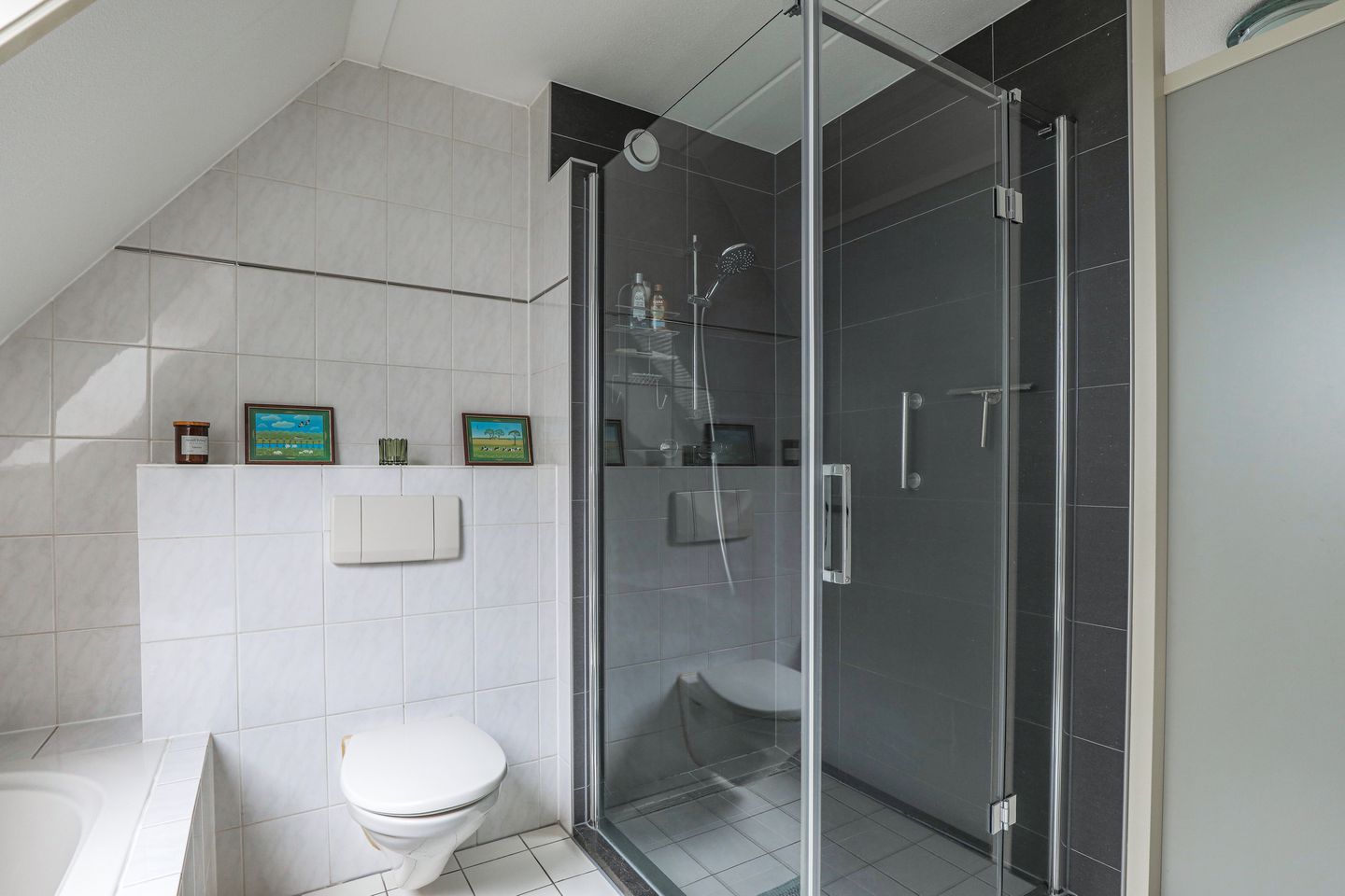 Foto 29 van Veenlanden 4