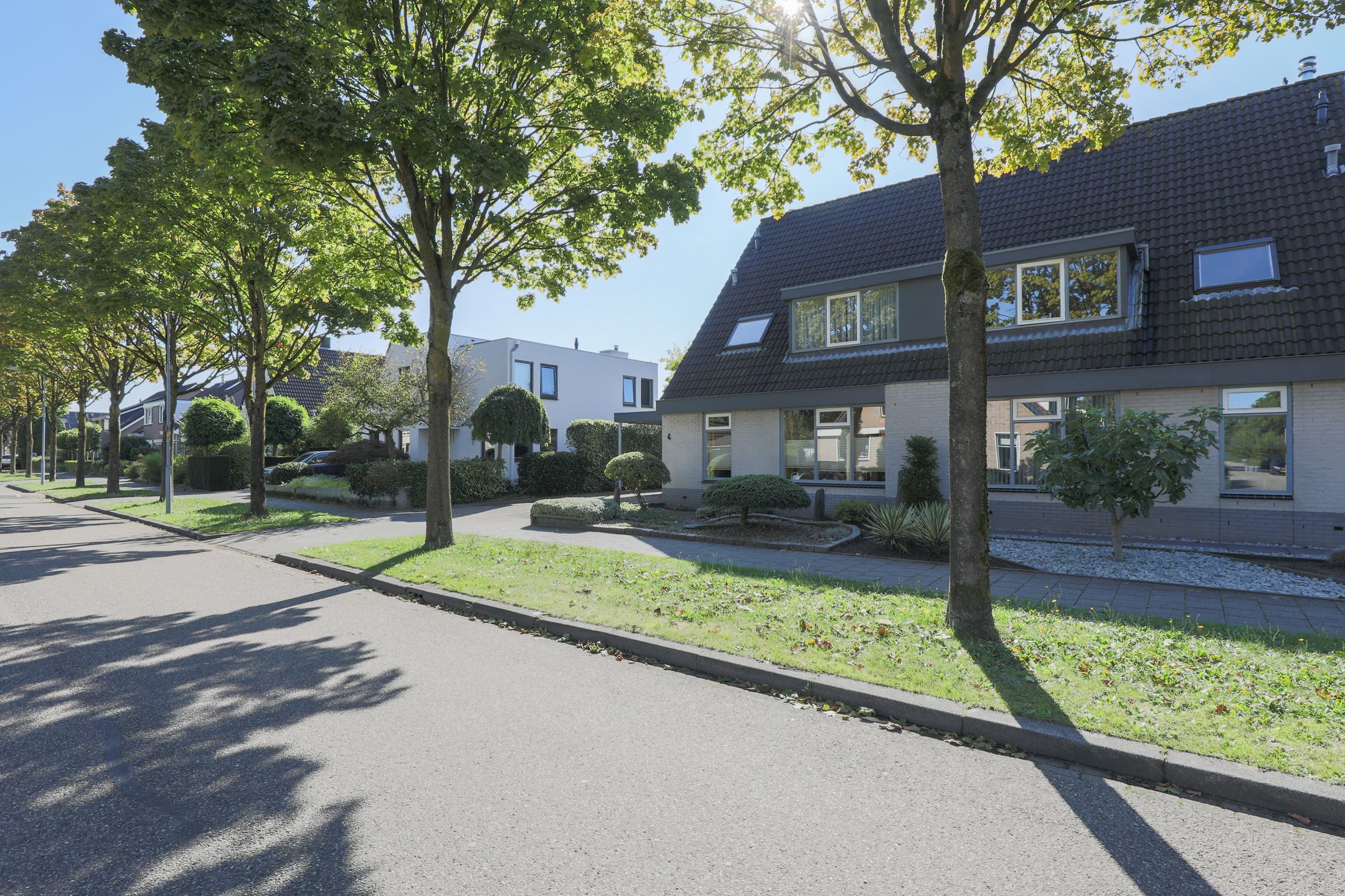 Foto 45 van Veenlanden 4