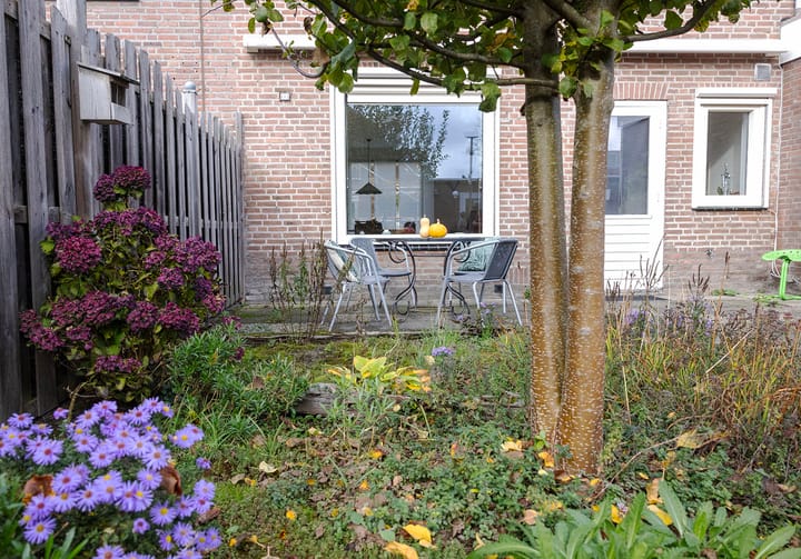 Foto 29 van Reinoldstraat 12