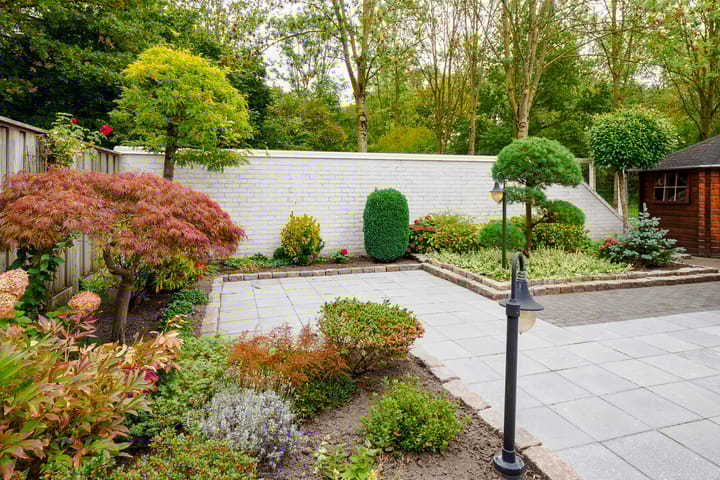 Foto 29 van Dasstraat 45