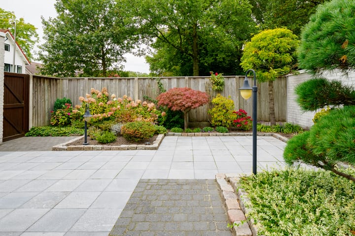 Foto 31 van Dasstraat 45