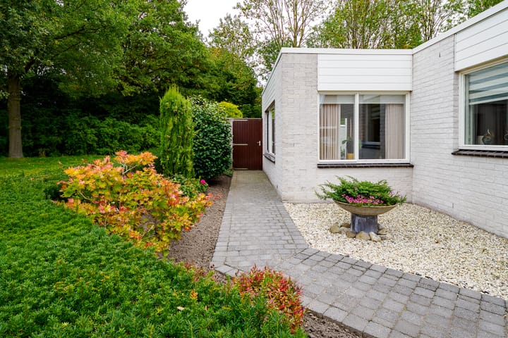 Foto 33 van Dasstraat 45