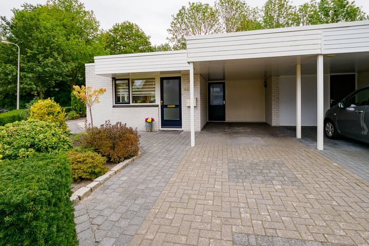 Foto 35 van Dasstraat 45