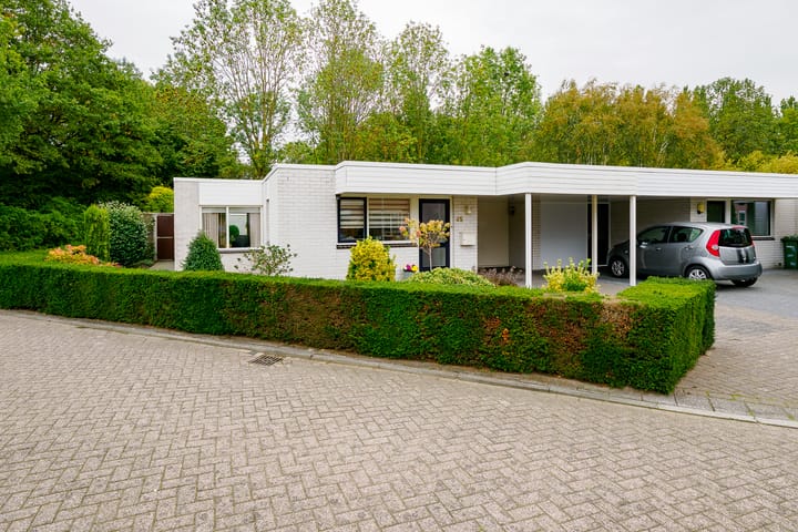 Foto 37 van Dasstraat 45