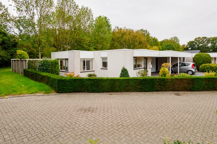 Foto 38 van Dasstraat 45