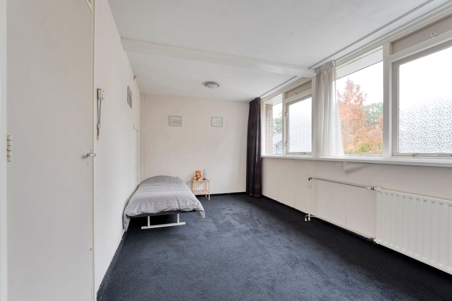 Foto 19 van Smetanastraat 39