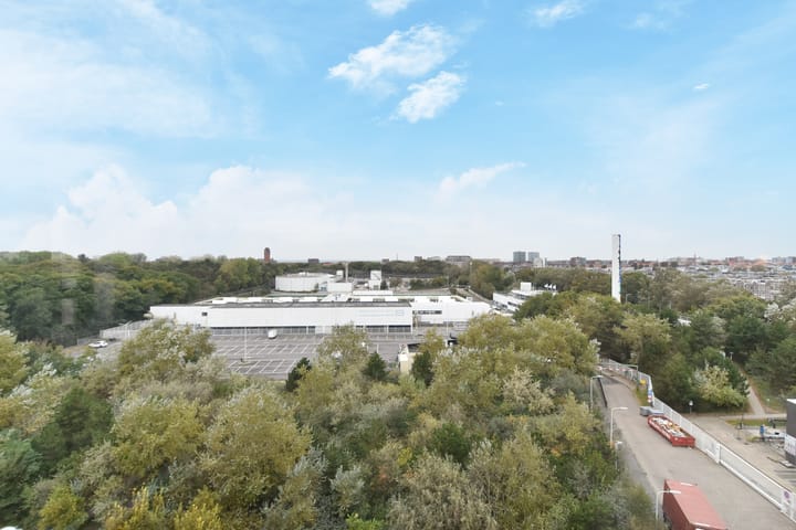 Foto 22 van Tjalie Robinsonduin 109